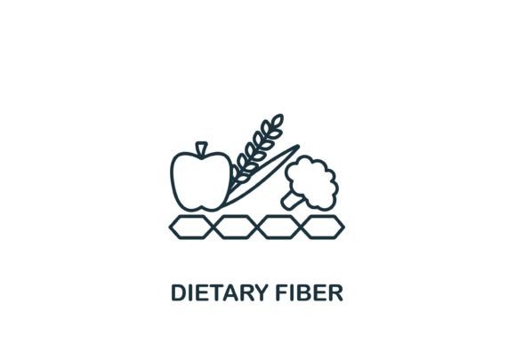 Dietary Fiber Icon: Graphics and Icons for Real Projects